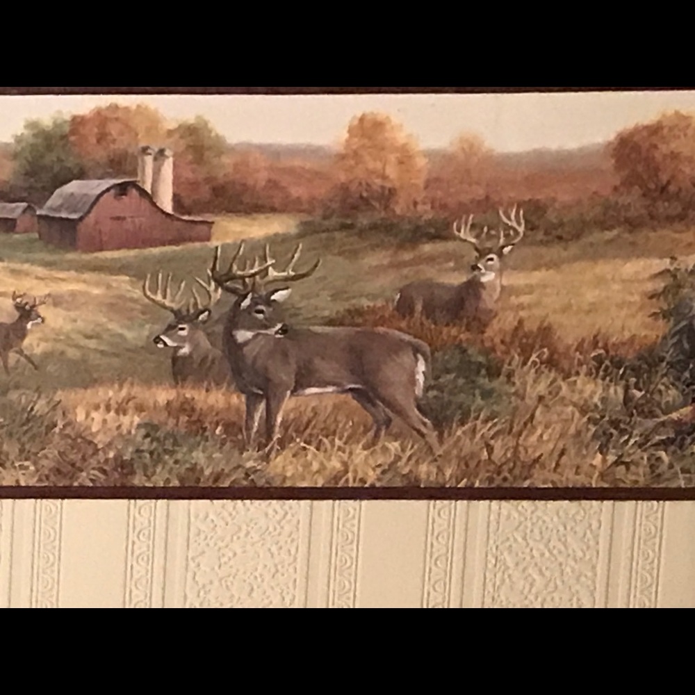 CHESAPEAKE WALLPAPER BORDER - Deer, Farm, Tractor